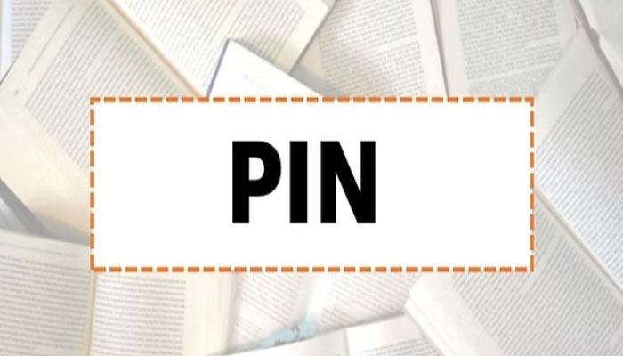 pin