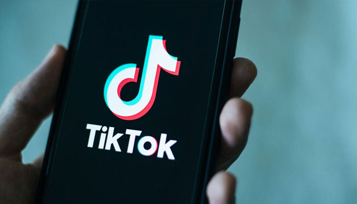 tiktok-meem