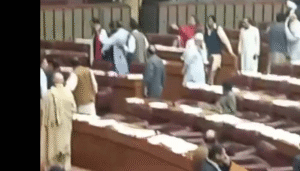 assembly-hangama