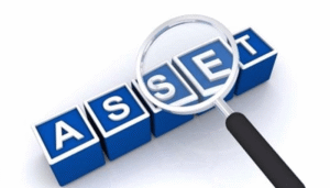 assets-declaration
