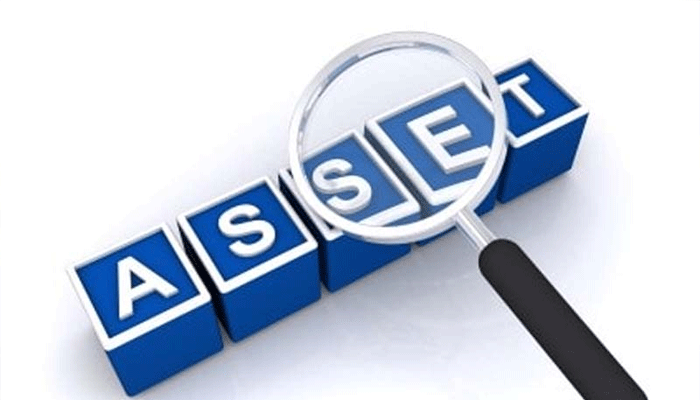 assets-declaration