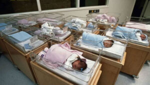 birth-rate