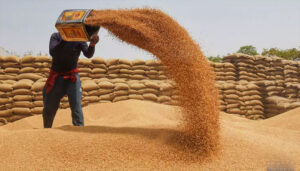 ileagel-wheatileagel-wheat