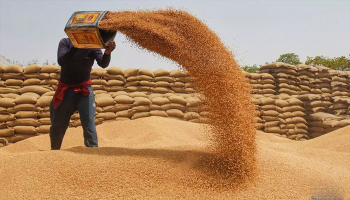 ileagel-wheatileagel-wheat