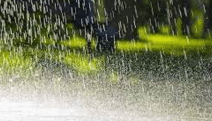 tofani-barish