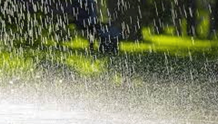 tofani-barish