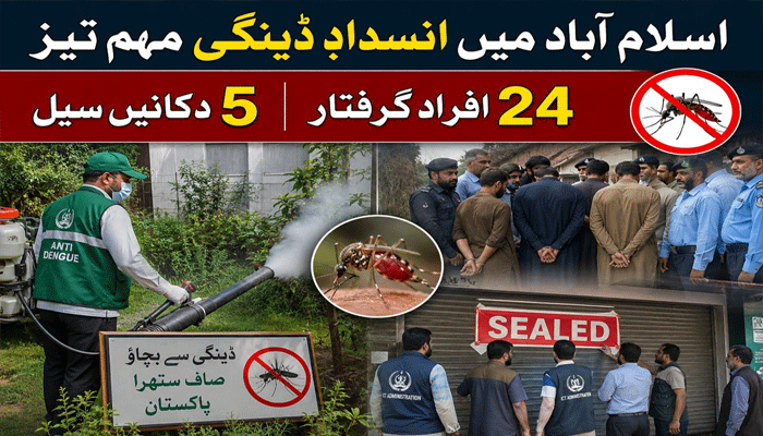 anty-dangue