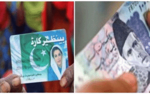 bisp