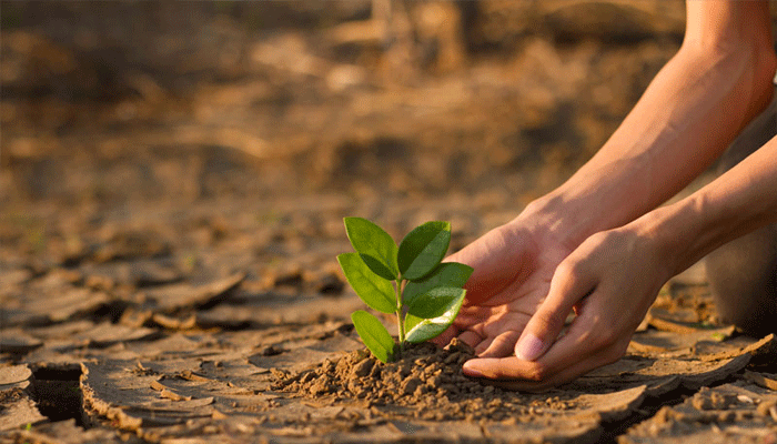 climate-change