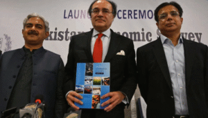 econmic-survey