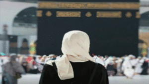 haj-policy