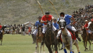 polo