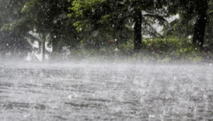 rain