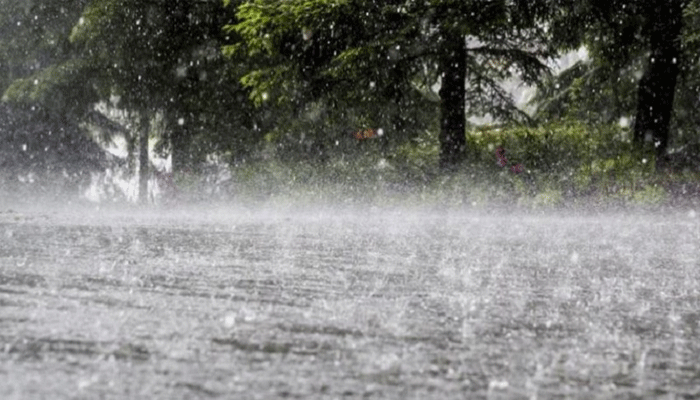 rain