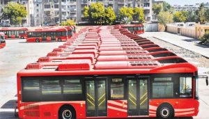 Bus