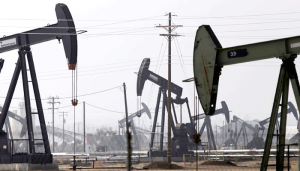 Oil