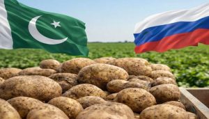 potatos