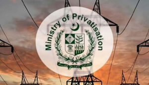privatization