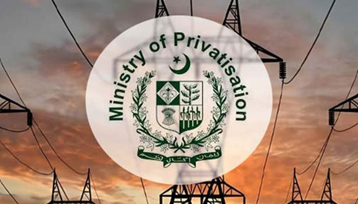 privatization