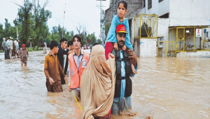 rescue