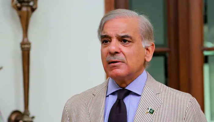 shahbaz