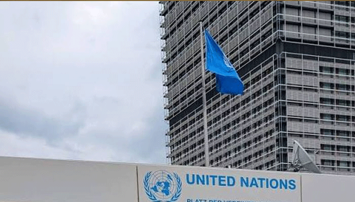 undp