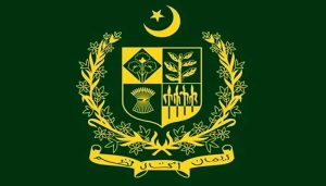 حکومت کفایت