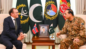 فیلڈ مارشل
