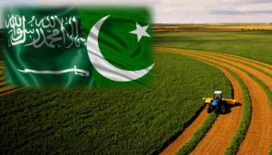 AGRICULTURE
