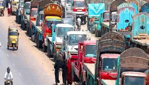 Transporters