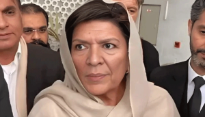 alima