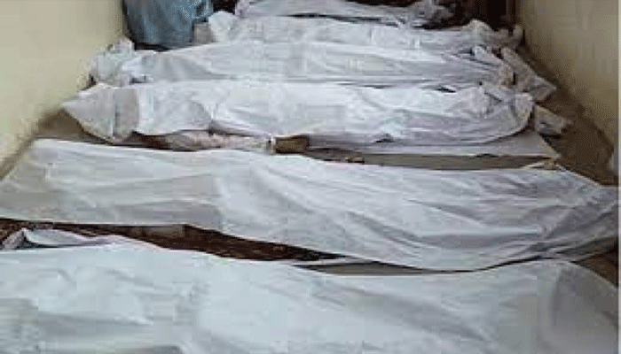 bodies