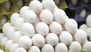 eggs
