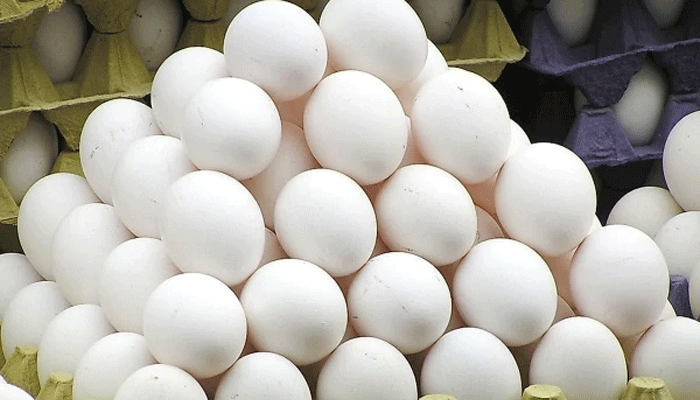 eggs