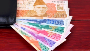 gp-fund