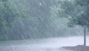 rains