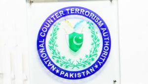نیکٹا