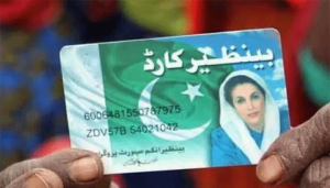 BISP
