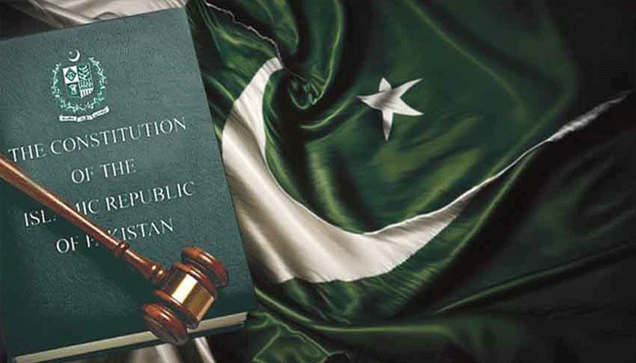 CONSTITUTION