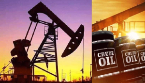 OIL