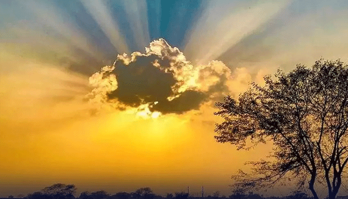 WEATHER