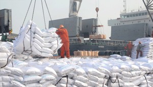 fertilizer
