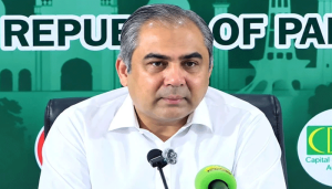 naqvi