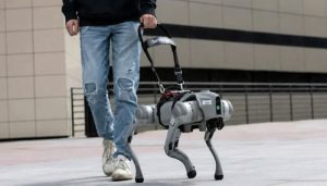 robot